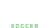 Pelé Soccer