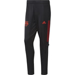 NY Red Bulls 2020-21 Training Pants